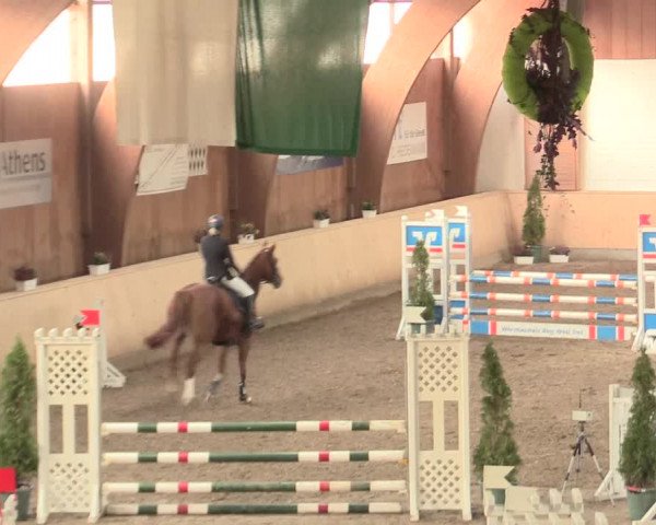 Springturnier Hövelhof 2016