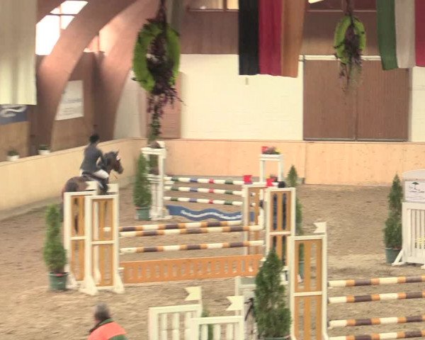 Springturnier Hövelhof 2016