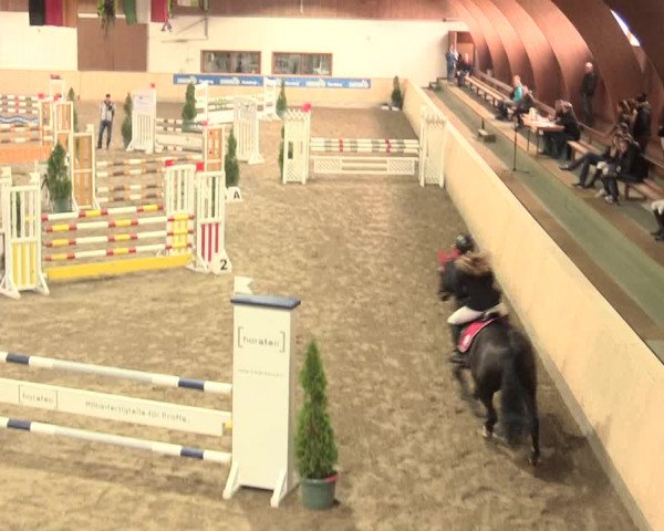 Springturnier Hövelhof 2016