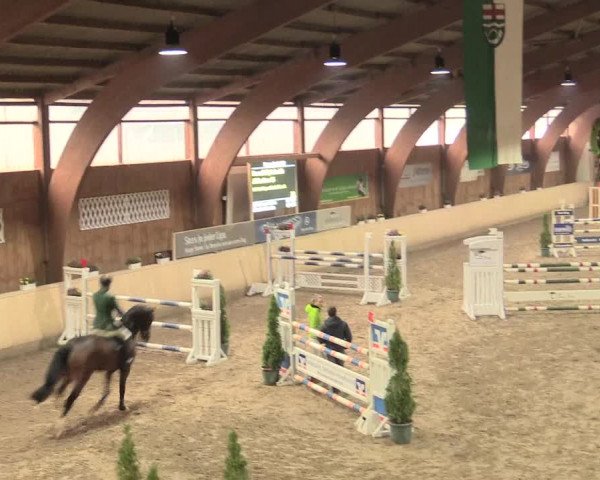 Springturnier Hövelhof 2016