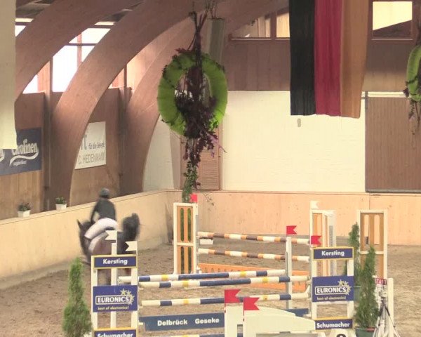 Springturnier Hövelhof 2016