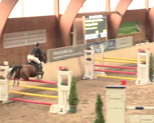 Springturnier Hövelhof 2016