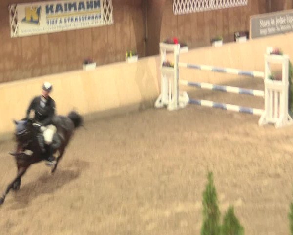 Springturnier Hövelhof 2016