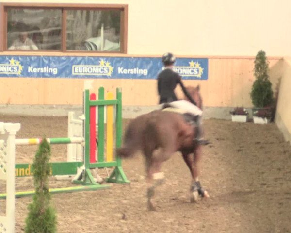 Springturnier Hövelhof 2016