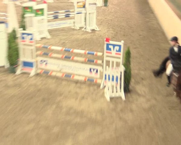 Springturnier Hövelhof 2016