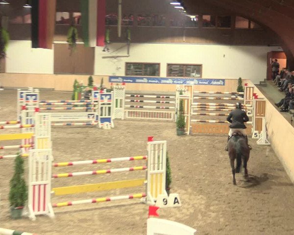 Springturnier Hövelhof 2016