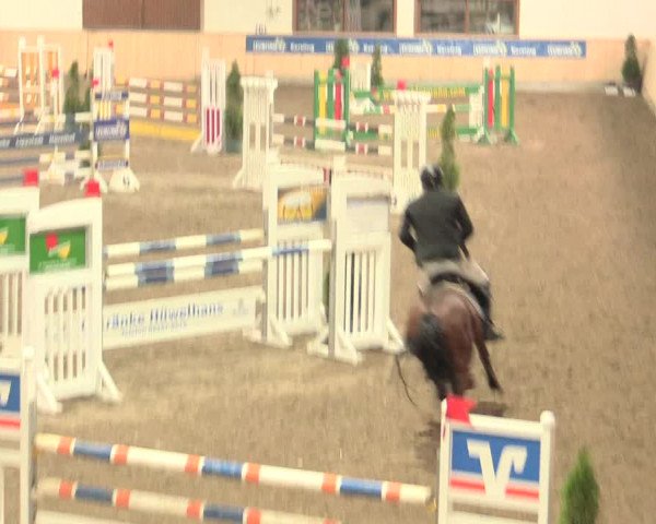 Springturnier Hövelhof 2016