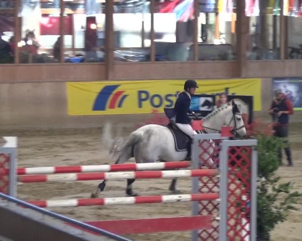 11. Große Bayer Springfestival 2016