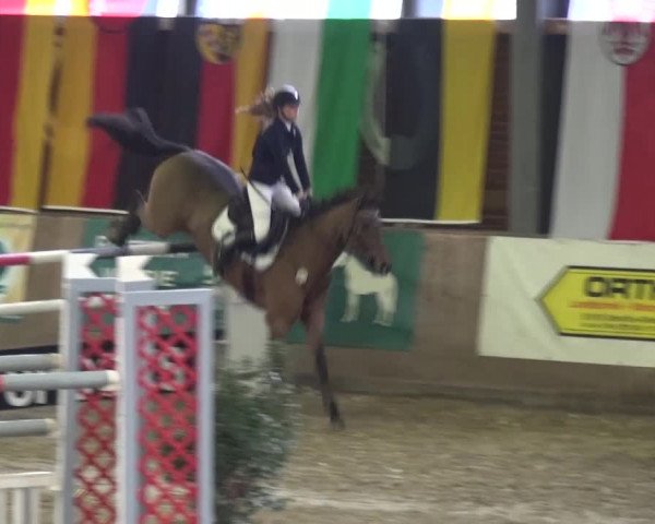 11. Große Bayer Springfestival 2016