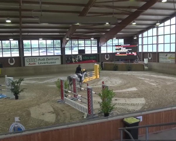 11. Große Bayer Springfestival 2016