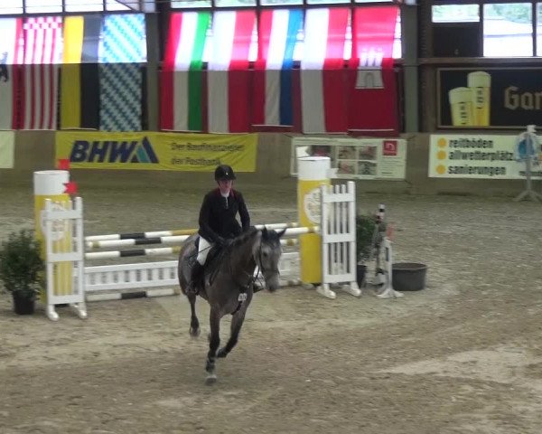 11. Große Bayer Springfestival 2016