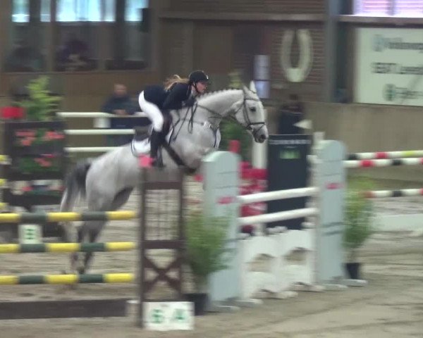 11. Große Bayer Springfestival 2016