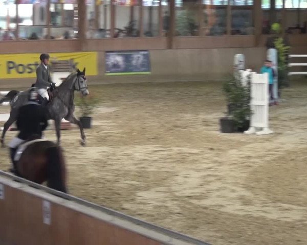 11. Große Bayer Springfestival 2016