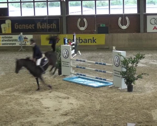 11. Große Bayer Springfestival 2016