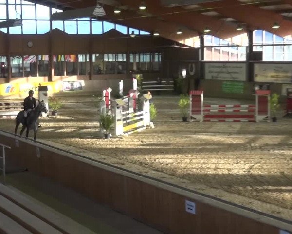 11. Große Bayer Springfestival 2016