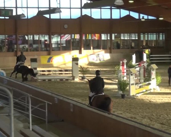 11. Große Bayer Springfestival 2016
