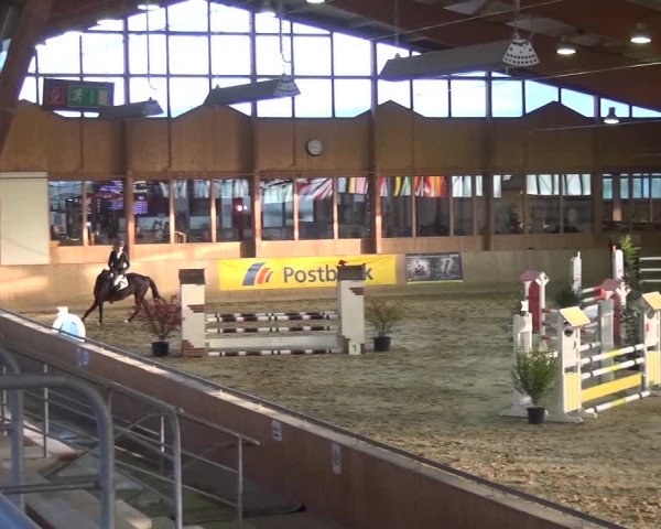 11. Große Bayer Springfestival 2016