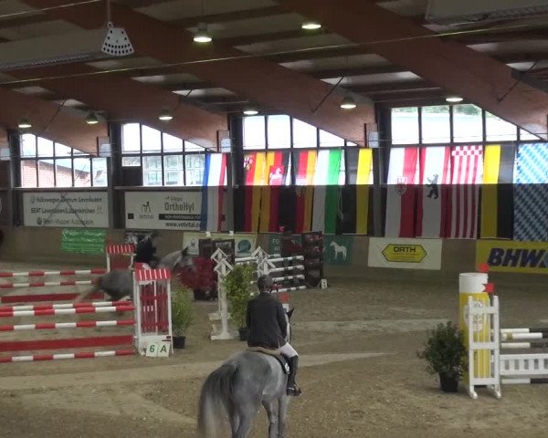 11. Große Bayer Springfestival 2016