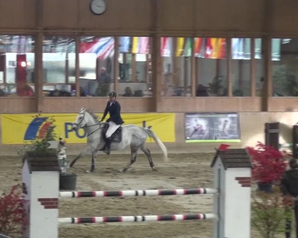 11. Große Bayer Springfestival 2016