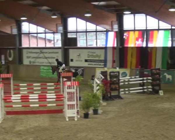11. Große Bayer Springfestival 2016