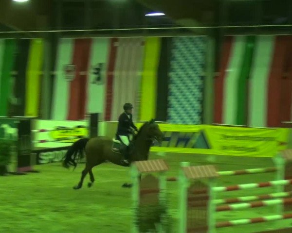 11. Große Bayer Springfestival 2016