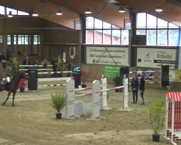 11. Große Bayer Springfestival 2016