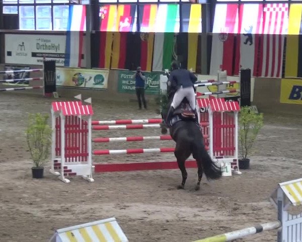 11. Große Bayer Springfestival 2016