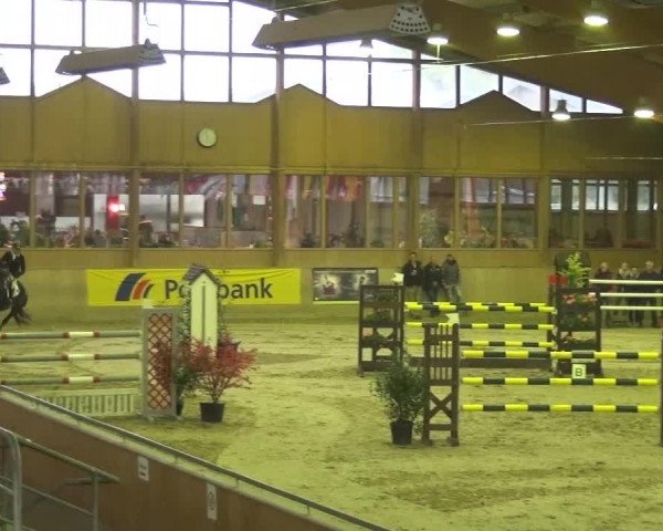 11. Große Bayer Springfestival 2016