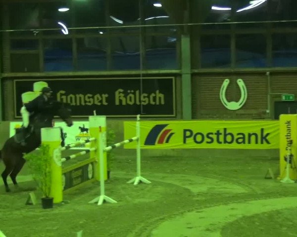 11. Große Bayer Springfestival 2016