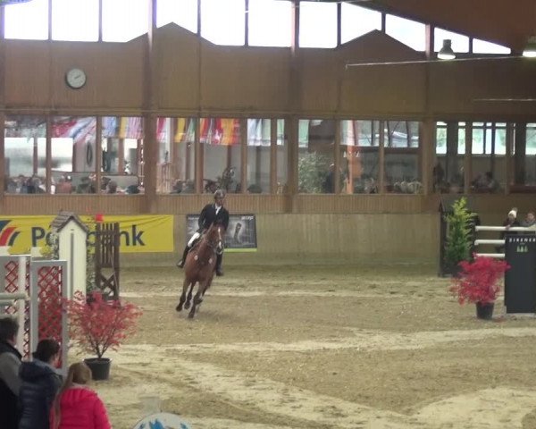11. Große Bayer Springfestival 2016