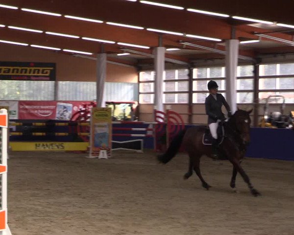 Springturnier Isterberg 2016