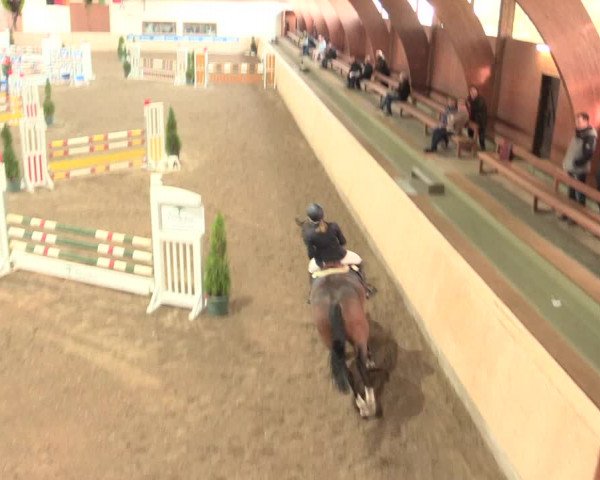 Springturnier Hövelhof 2016