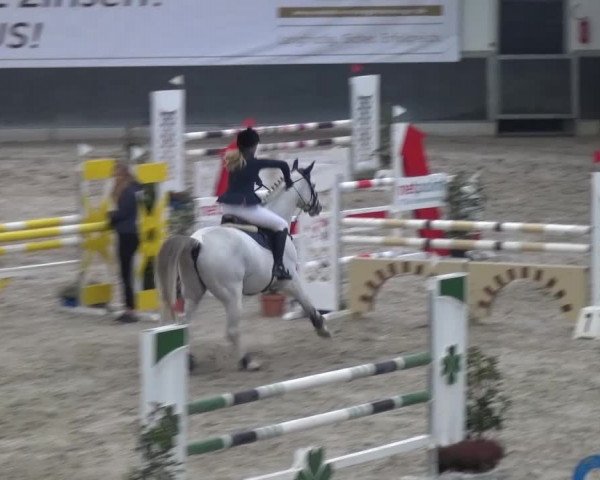 Reitturnier Mönchengladbach-Abtshof 2016