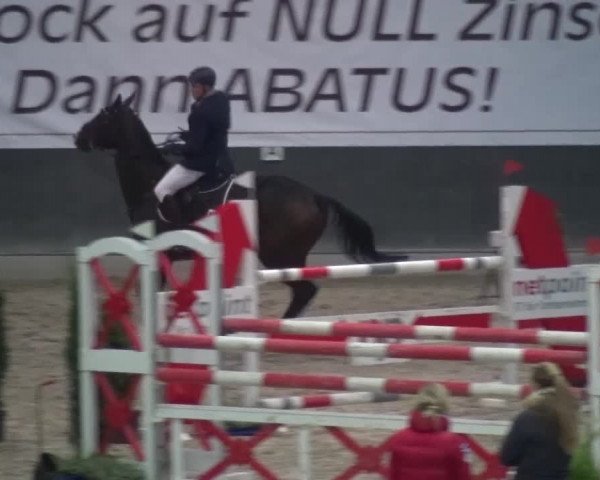 Reitturnier Mönchengladbach-Abtshof 2016