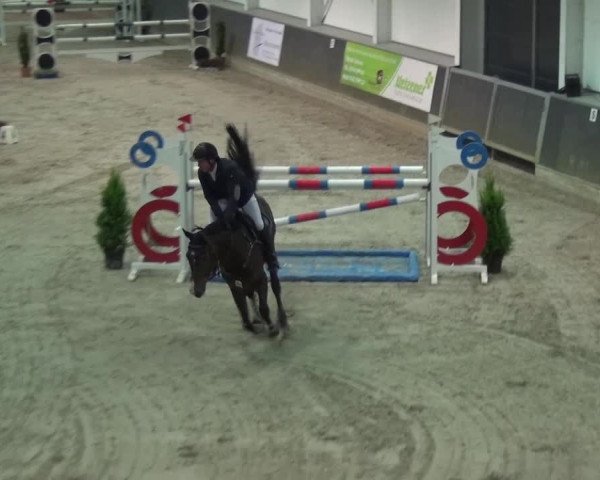 Reitturnier Mönchengladbach-Abtshof 2016