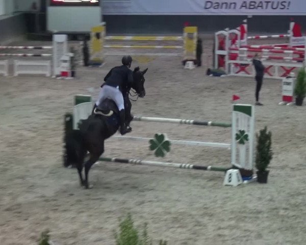 Reitturnier Mönchengladbach-Abtshof 2016