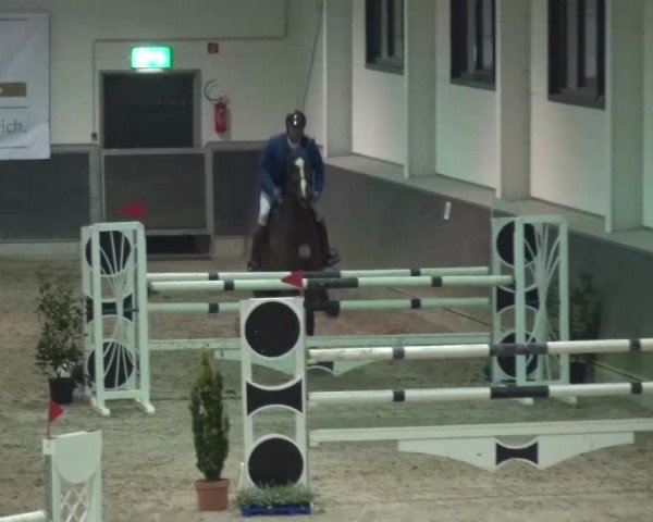 Reitturnier Mönchengladbach-Abtshof 2016