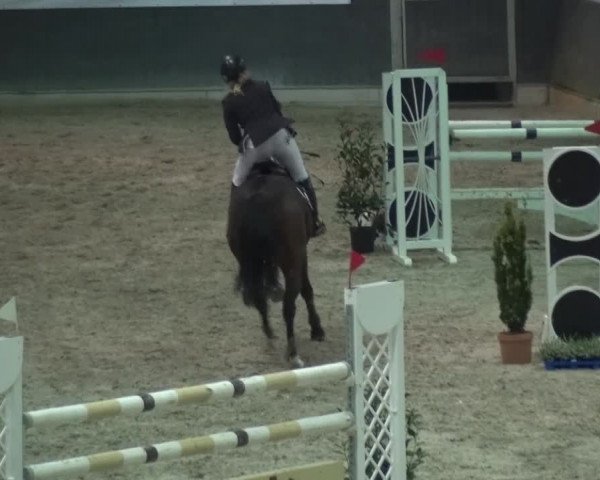 Reitturnier Mönchengladbach-Abtshof 2016