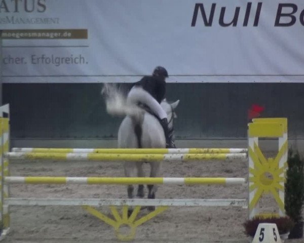 Reitturnier Mönchengladbach-Abtshof 2016