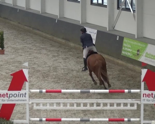 Reitturnier Mönchengladbach-Abtshof 2016