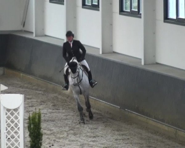 Reitturnier Mönchengladbach-Abtshof 2016