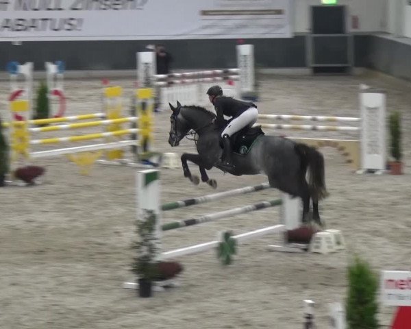Reitturnier Mönchengladbach-Abtshof 2016