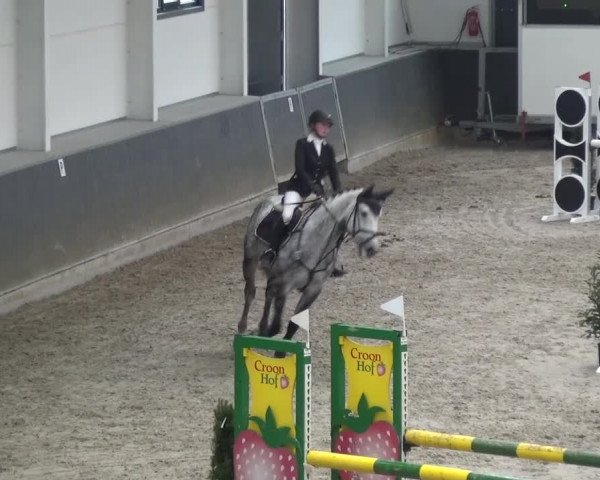 Reitturnier Mönchengladbach-Abtshof 2016