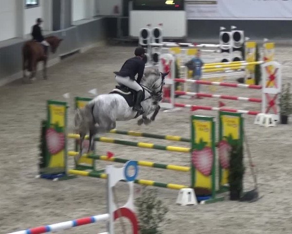 Reitturnier Mönchengladbach-Abtshof 2016