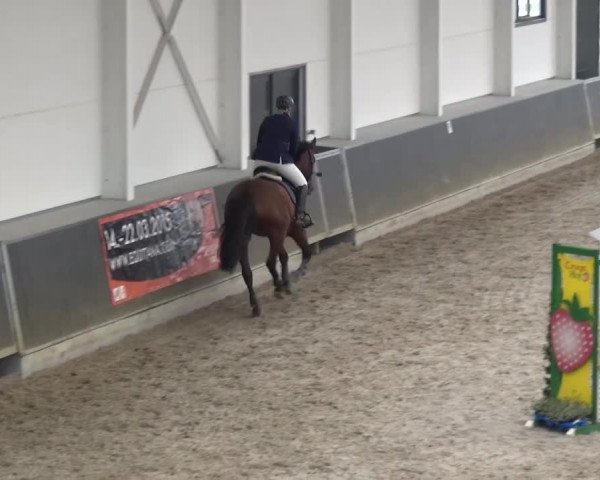 Reitturnier Mönchengladbach-Abtshof 2016