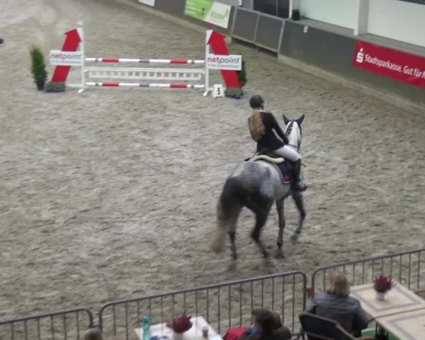 Reitturnier Mönchengladbach-Abtshof 2016