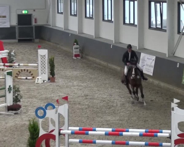 Reitturnier Mönchengladbach-Abtshof 2016