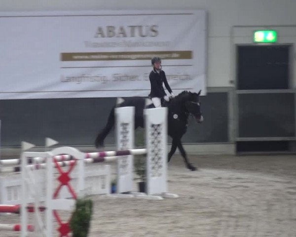 Reitturnier Mönchengladbach-Abtshof 2016