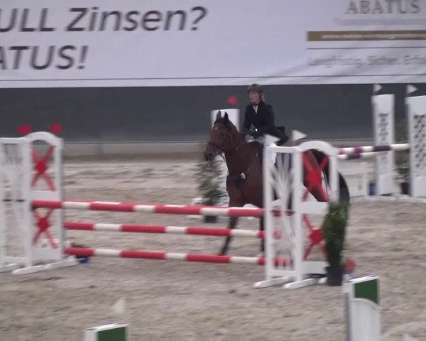 Reitturnier Mönchengladbach-Abtshof 2016