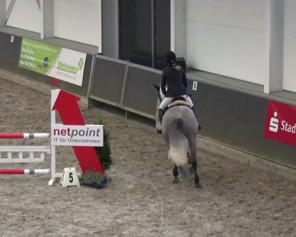 Reitturnier Mönchengladbach-Abtshof 2016